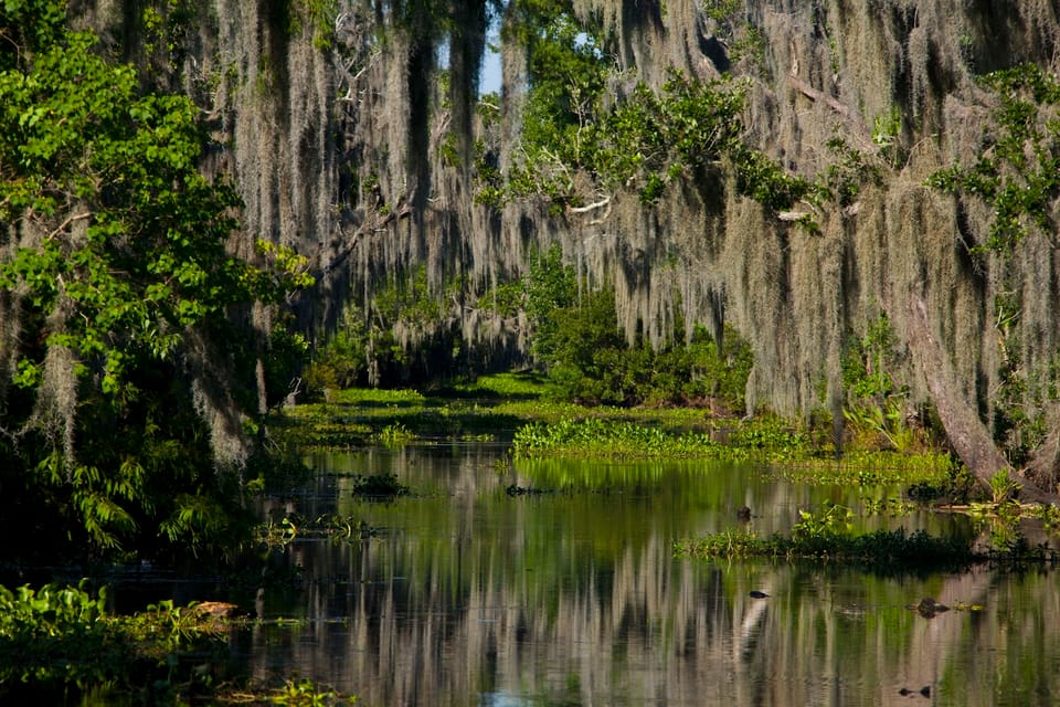 Book your New Orleans: High Speed 16 Passenger Airboat Ride Experience Today. Discover some of the top rated New Orleans Tours with CitizensFor1GreaterNewOrleans.com.