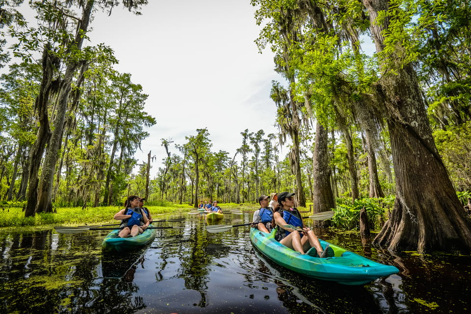 Book your New Orleans: Manchac Magic Kayak Swamp Tour Experience Today. Discover some of the top rated New Orleans Tours with CitizensFor1GreaterNewOrleans.com.