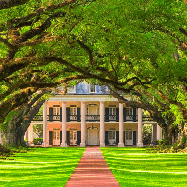 Book your New Orleans: Oak Alley Plantation Tour and Transportation Experience Today. Discover some of the top rated New Orleans Tours with CitizensFor1GreaterNewOrleans.com.