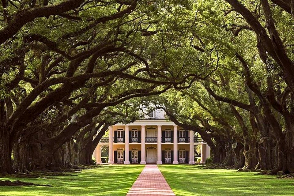 Book your New Orleans: Swamp Boat Ride and Historic Plantation Tour Experience Today. Discover some of the top rated New Orleans Tours with CitizensFor1GreaterNewOrleans.com.