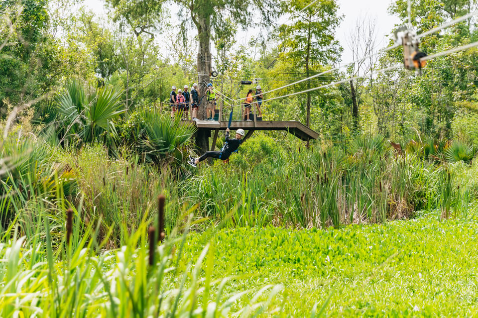 Book your New Orleans: Swamp Zipline Tour Experience Today. Discover some of the top rated New Orleans Tours with CitizensFor1GreaterNewOrleans.com.